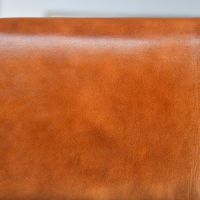 Close up of Buffalo Leather 