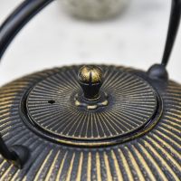 Close-Up of Closed Lid on Cast Iron Teapot