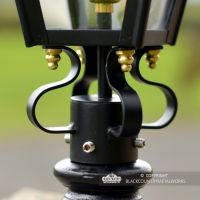 Close-up of the Frog collar and Brass Fixings
