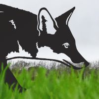 Close-up of the Head of the Iron Silhouette Fox