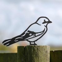 Black Jay Bird Steel Fence Topper in Situ