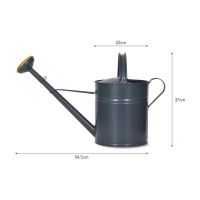 Black Traditional Watering Can Dimensions