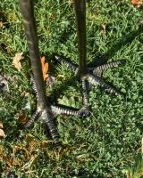 Close up of freestanding crane feet