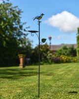 Bluebird Design Bird Feeder on Ground Spike
