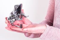 Bright Chrome Frog Door Knocker