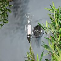 Old Style Gas Lamp Bathroom Wall Light Next to Plants in the Bathroom