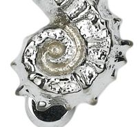 Bright Chrome Sea Horse Door Knocker