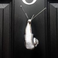 Bright chrome Snail door knocker mounted on black door