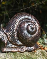 Close up of sculpture"s shell