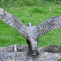 Close-up of the Bronze Finish on the Wings of the Duck