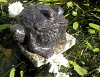 “Jabban Ponds” Bronze Metal Toad Sculpture in situ by a Pond