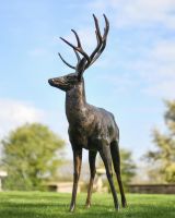 Facing Right Antique Bronze Aluminium Stag Sculpture Outdoors in the Garden