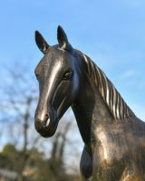 Standing Foal Garden Sculpture Face
