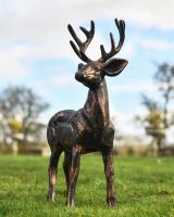 Bronze Finish Standing Buck Sculpture in Situ on the Grass 