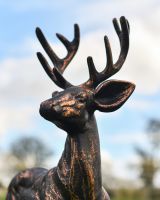 Close-up of the Head on the Brushed Bronze "Brutus" Standing Buck Sculpture 