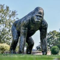 Brushed Bronze Effect Gorilla Sculpture 