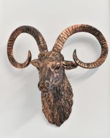 Mouflon Wall Bust in a Brushed Bronze Wall Bust