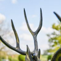 Close up of Antlers on Deer Sculpture 