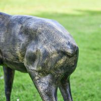 Rear view of Brushed Gold Standing Deer Sculpture