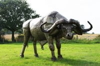 "Southern Saharan Cape” Buffalo Garden Sculpture 