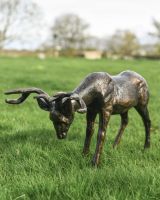 "Arthur" Buck Grazing Garden Sculpture