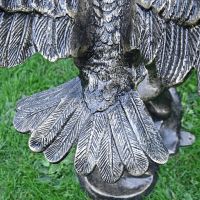 Close-up of the Detail on the Tail of the Eagles