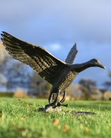 Cast Aluminum Flying Duck Garden Sculpture On Grass
