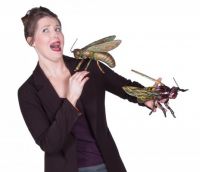 “Soaring Summer” Wasp Garden Decoration