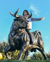 Scale Shot of Cast Aluminium "Raging Bull" Garden Sculpture 