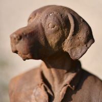 Close-up of the Dog"s Face
