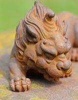 Close Up of Rustic Dragons Face 