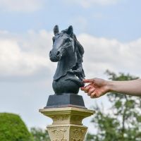  Cast Iron Horse Head Bust to Scale