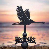 Cast Iron & Steel Flying Swan Weathervane in Situ