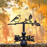 Cast Iron & Steel Goldcrest Weathervane in Situ