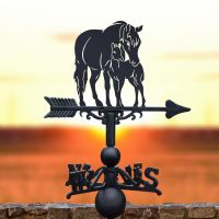Cast Iron & Steel Mare & Foal Weathervane 
