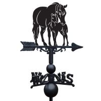 Close-up of Mare & Foal Topper