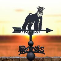 Cast Iron & Steel Miniature Schnauzer Weathervane in Situ