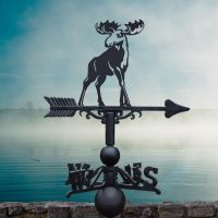 Weathervane with Moose Topper in Situ