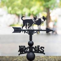 Cast Iron & Steel Pair of Border Collies Weathervane in Situ