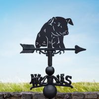 Weathervane with Sitting Piglet Topper in Situ