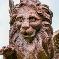 Close-up of the Face of the Cast Iron Winged Lion Sculpture