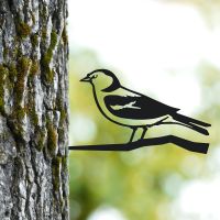Chaffinch Tree Spike on Situ on a Tree
