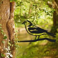 Chaffinch Tree Spike Being Used Outside