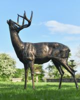 "Charles" the Bronze Buck Garden Sculpture