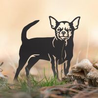 Chihuahua Silhouette in Situ