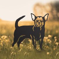 Chihuahua Silhouette in Situ in a Field