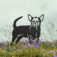 Chihuahua Silhouette on Display in the Flowers