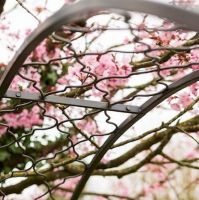 Close-up of the Finish on the Circular Rose Arch