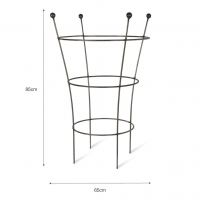 Circular Steel Plant Support Dimensions