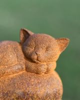 Close up of face detail on kitten sleeping patio statue